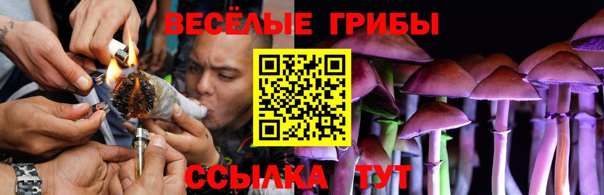 Луховицы  Псилоцибиновые грибы прущие грибы  как найти   Вход с VPN 